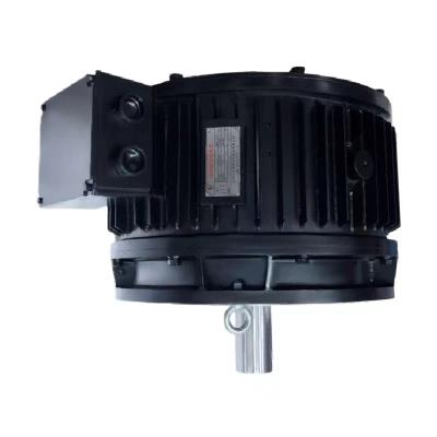 China Hoge koppel lage snelheid voor zware toepassingen Directe aandrijving AC BLDC motor Te koop