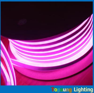 China mini más reciente de 220V neón flexible iluminación LED para la decoración de edificios en venta
