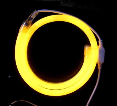 China 82' 25meter spool 8x16mm 127V flat neon light made in China for sale