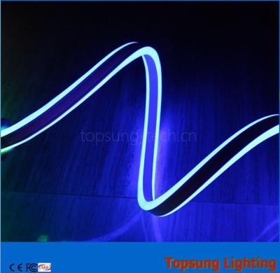 China 12V doble lado azul LED luz de neón flexible para exteriores con nuevo diseño en venta