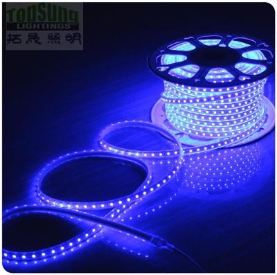 China 100m 230v AC led strip 5050 waterproof cuttable strips lights flexible blue color for sale