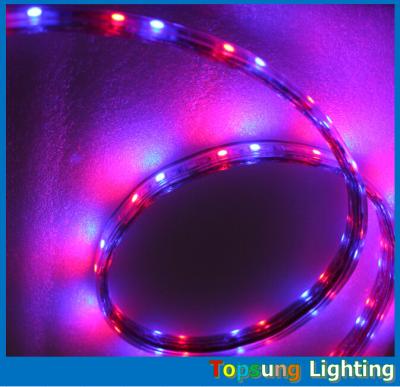 China whole sale 220V 50 meter RGB spool chasing  led strip 5050 SMD trade 60LED/m for sale