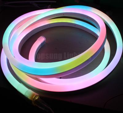 China mini 24v Waterproof full color changing P943 dmx rbg led neon for Christmas neon sign for sale