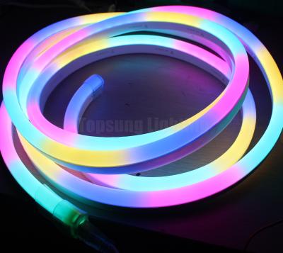 Chine Mini RGB numérique pixel chasseur LED bande de néon flexible de la corde de lumière 24v à vendre