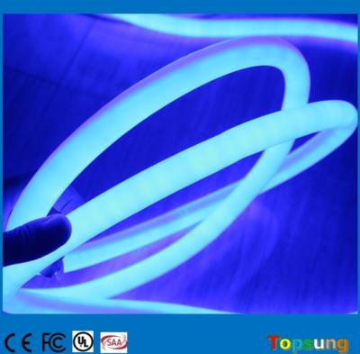 China 360 led neon flex SMD luces de neon led strip 24v waterproof outdoor decoration rope blue color 220v for sale