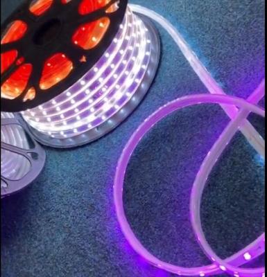 Chine 50m Smart Neon Flex Rope Light SMD5050 Couleur de rêve magique DC5V programmable à vendre