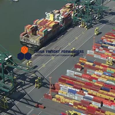 China Almacenamiento por encargo Transporte marítimo Transporte internacional China a América del Sur en venta