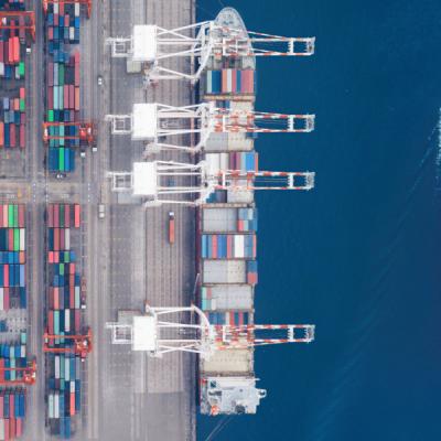 China Flexible Sea Freight Forwarder Customs Clearance China Sea Transport Services à venda