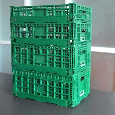 China Plástico novo dobrável reusável dos PP do armazenamento vegetal do verde de Sonsill 32 litros de caixa à venda