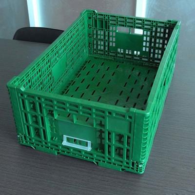 China Supermarket Portable Plastic Folding Crate For Fruit Vegetable for sale