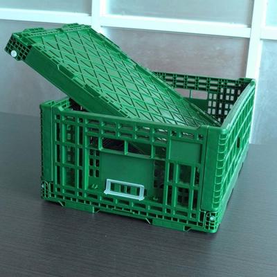 China Large Vented Foldable Plastic Vegetable Crate 40 Liters Green for sale