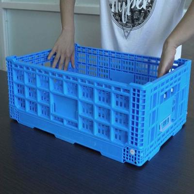 China Perforated Collapsible Plastic Crates With Lids Blue Foldable for sale