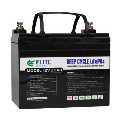 China Lithium 12V 384Wh 10mΩ Portable Li Ion Battery Optional Bluetooth for sale