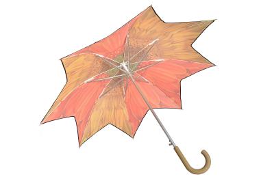 Китай зонтик 26