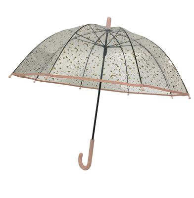 China Promotional Clear POE dome transparent automatic Umbrella for wholesale for sale