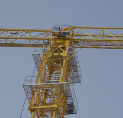 China Zoomlion Jib 60m 8 Ton Flat Top Tower Crane Mobile à venda