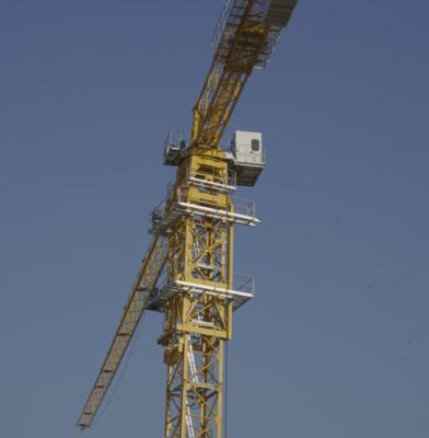 China Jib Tower Crane 12 Ton Mobile Mini  Lifting Machinery for sale