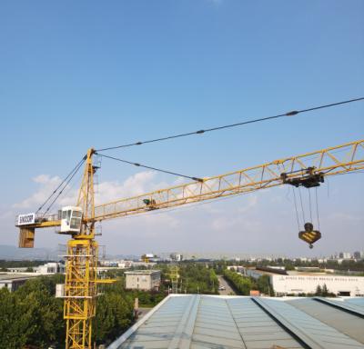 China 6 Ton Hammer Head Tower Crane For Construction en venta