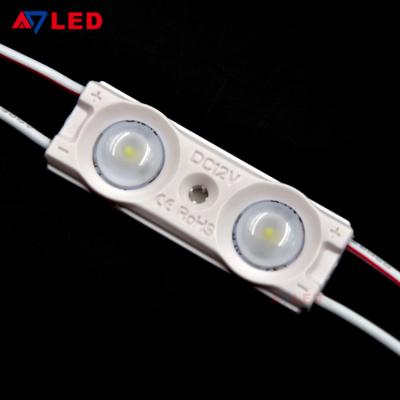 China Adled Light vast supply 0.96w 90lm outdoor led module for outdoor illuminated signs for sale
