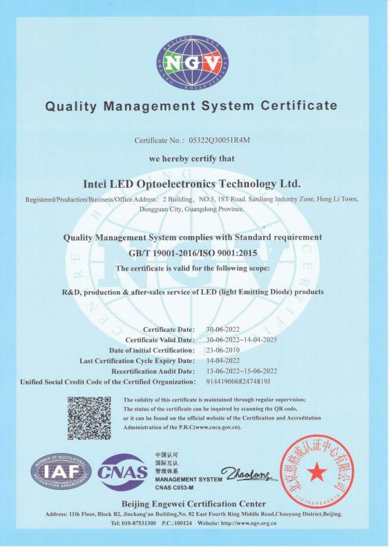 ISO9001:2015 - Leding Solid State Lighitng Ltd.