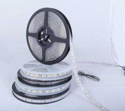 China Full Color LED Strip RGB 5050 12V For Illuminated Advertising RoHS Certified for sale