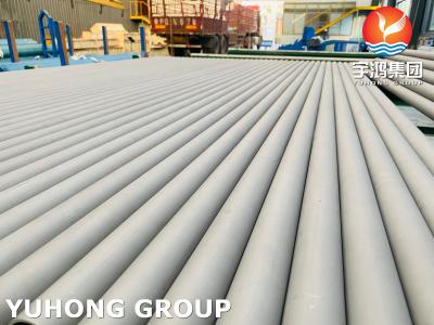 China Gás natural do produto químico sem emenda de aço inoxidável da água do mar do tubo ASTM A269 TP316L à venda