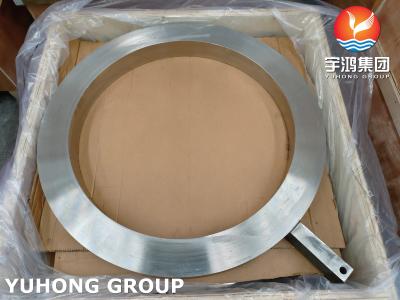 China Spade Paddle / Blanks / Blinds Flanges SA182 F317L / UNS S31703 / 1.4449 B16.48 for sale