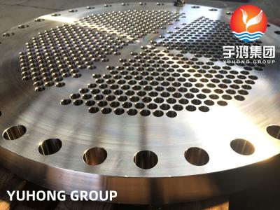 China ASME SA182 Tubesheet de aço inoxidável 316L/placa de UNS S31603/1,4404 tubos à venda