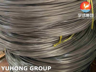 China Stainless Steel 304L Capillary Coil Tube Small Diameter Bright Annealed Tubing for sale