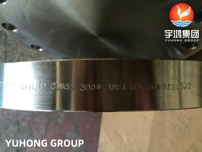 China ASTM A182 F317 F317L Blind RF SS Forged Flange Bridas for sale