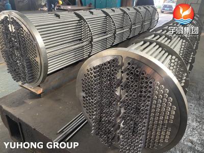 China Heat Exchanger Tube Bundle, Stainless Steel Seamless Tube  ASME SA213 TP316L , Tubesheet  SA350 LF2 CL1N for sale
