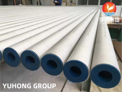 China ASTM A213 UNS N08904 904L 1.4539 Stainless Steel Seamless Pipe For Sea Water Technology for sale