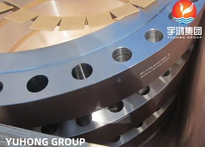 China ASTM A182 F51 F53 F55 Super Duplex Steel Forged Weld Neck RF Flange For Water Treatment for sale