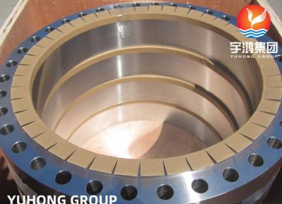 China A182 F51/F53/F55 Forged Duplex Steel Material WNRF Flange B16.5 for sale