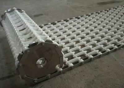 China Durable Chain Drive Furnace Conveyor Belt For Restaurant Dishwasher Heavy Load for sale