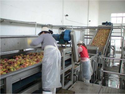 China Transporte de correia de aço inoxidável da rede de arame do SUS 304/oxidação de lavagem transporte do fruto resistente à venda