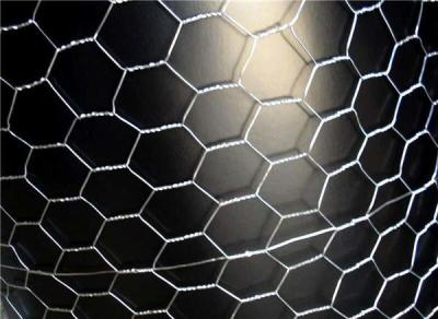 China PVC coated  Hexagonal Chicken Wire Net for sale