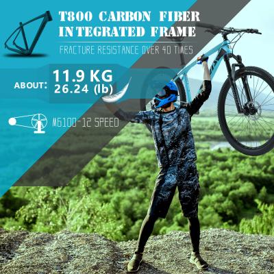 China Off Road Carbon MTB Bike Fork Suspension 1.33m Length  27.5x2 Tire Width for sale