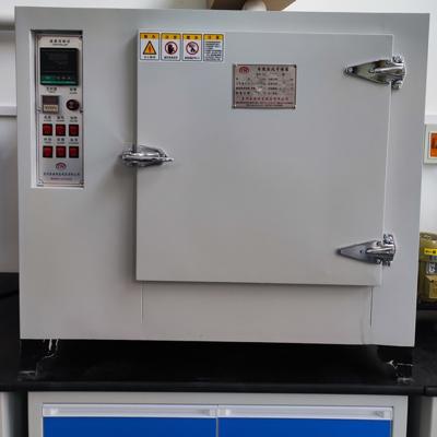 China Factory Sell High Temperature Blast Drying Oven For Drying Or Smelting for sale