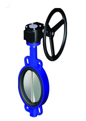 China DN10mm DN25mm Manual Butterfly Valve , Stainless Steel Butterfly Valve for sale