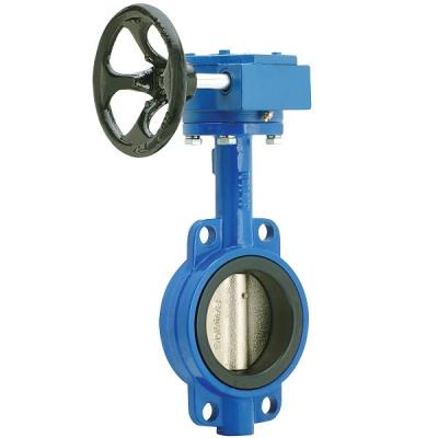 China 2'' 200 PSI Cast Iron Wafer Style Butterfly Valve Gear Operated for sale