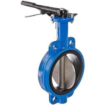 China AWWA Ductile Iron Flanged Butt Weld Butterfly Valve DN2800 PN10 for sale