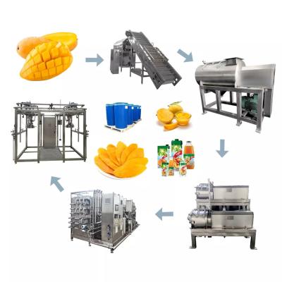 China Línea de producción de fruta pequeña de planta de procesamiento de jugo de mango de juego completo en venta