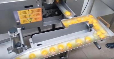 Cina La più venduta SUS304 Egg Separator Machine Egg Breaker Machine Liquid Egg Processing Line in vendita