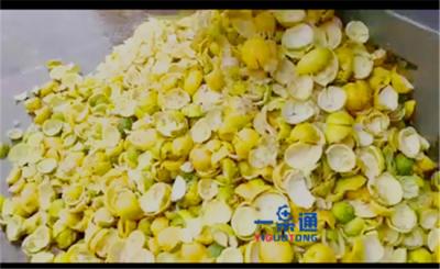 Chine Machine multifonctionnelle de Peeler du fruit SUS304 pour le séparateur de peau à vendre