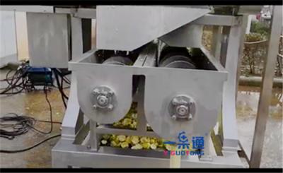 中国 マンゴの石取り機のDestoningフルーツ皮のための産業ジューサー機械SUS304 販売のため