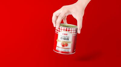 Chine Chaîne de fabrication concentrée capacité de sauce tomate de 10T/Hr à vendre