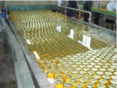 China 5-10g por el esterilizador Chili Sauce Substitute For Filling del baño de agua del bolso SUS304 en venta