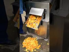 Stainless Steel Industrial Fruit Juice Extractor Machine