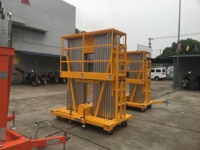 China Portable Aerial Work Platform Vertical Lift 12m Platform Height Double Mast for sale